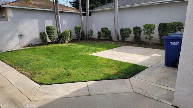 view of yard with a patio area