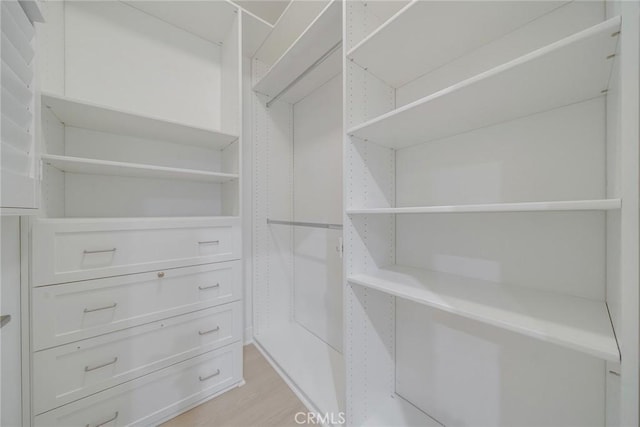 spacious closet with light wood finished floors