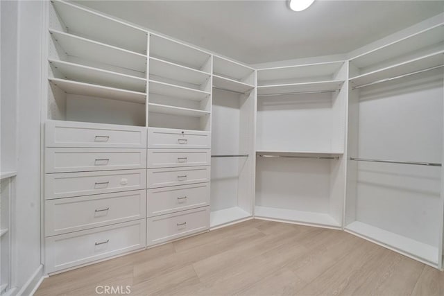 spacious closet with light wood finished floors