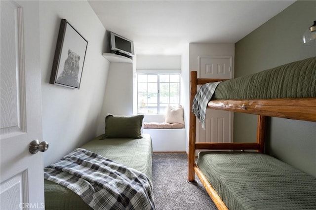 bedroom with carpet flooring