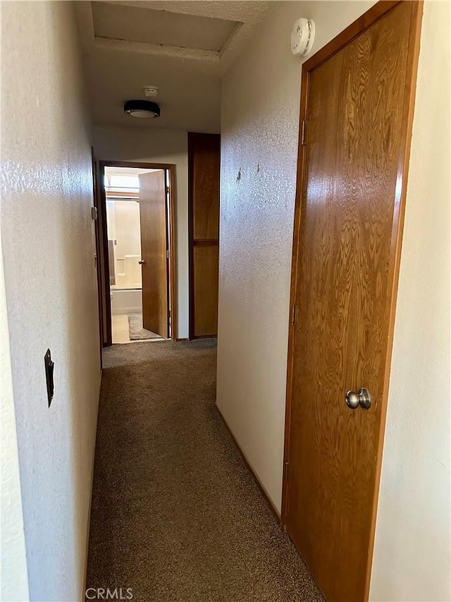 corridor with a textured wall and carpet