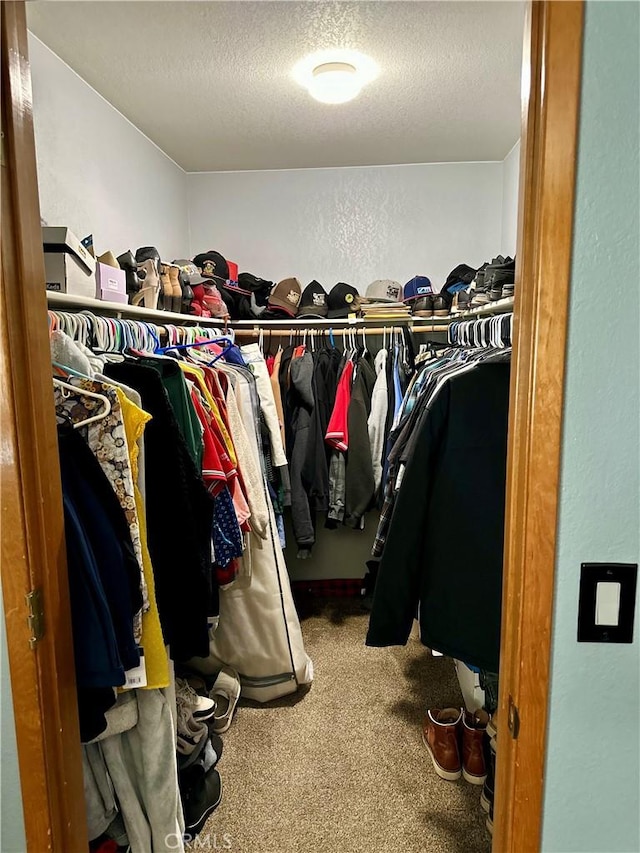 spacious closet featuring carpet flooring