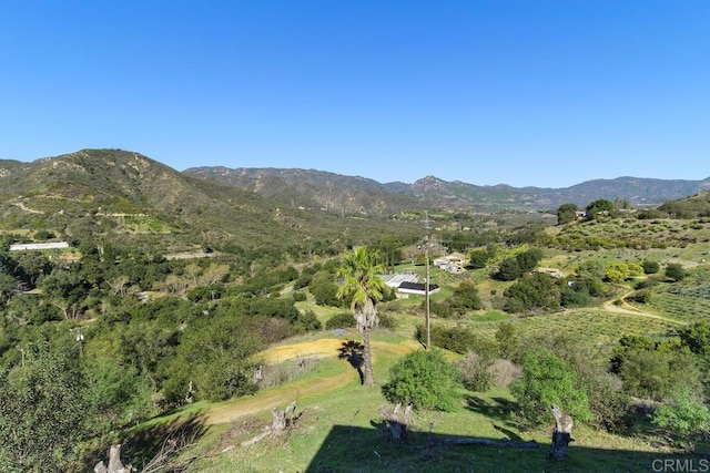 39255 De Luz Rd, Fallbrook, CA 92028 - view of mountain background