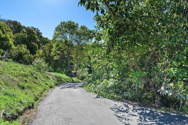 39255 De Luz Rd, Fallbrook, CA 92028 - view of road