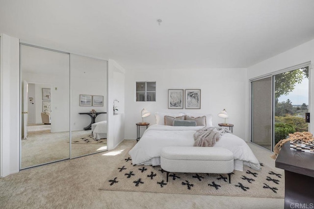 carpeted bedroom featuring a closet