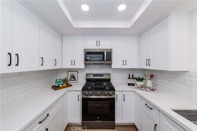 kitchen featuring appliances with stainless steel finishes, a tray ceiling, and light countertops