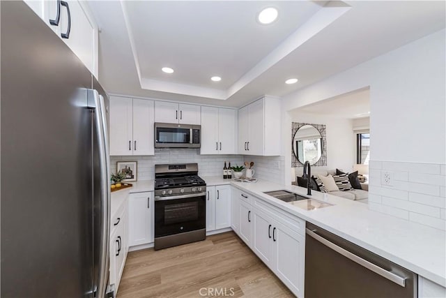 kitchen featuring a tray ceiling, light countertops, appliances with stainless steel finishes, a sink, and light wood-type flooring