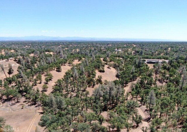 0 Big Pines Rd, Cottonwood, CA 96022 - photo 2