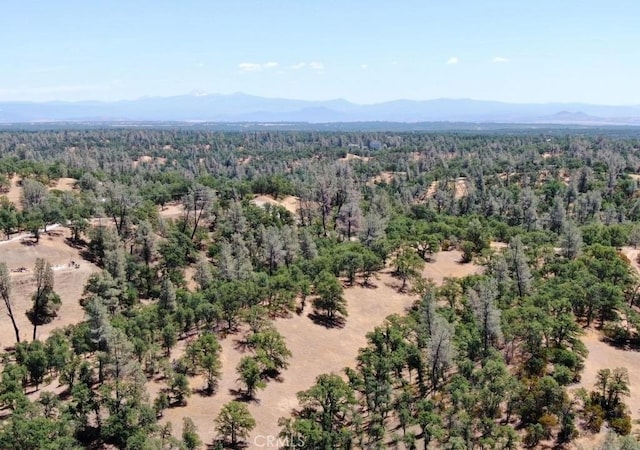 0 Big Pines Rd, Cottonwood CA, 96022 land for sale