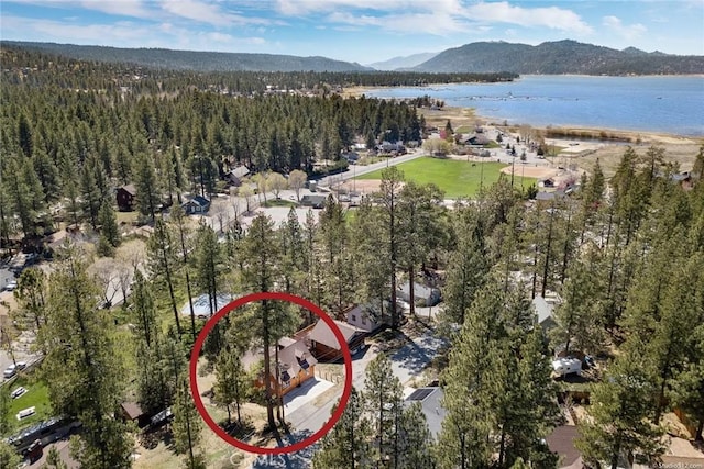 drone / aerial view featuring a view of trees and a water and mountain view