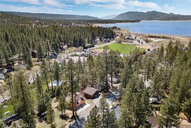 birds eye view of property featuring a water and mountain view and a wooded view