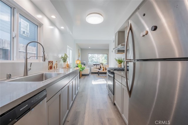 kitchen featuring light wood-style flooring, stainless steel appliances, a sink, open floor plan, and gray cabinets