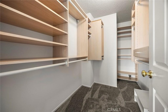 walk in closet featuring dark carpet