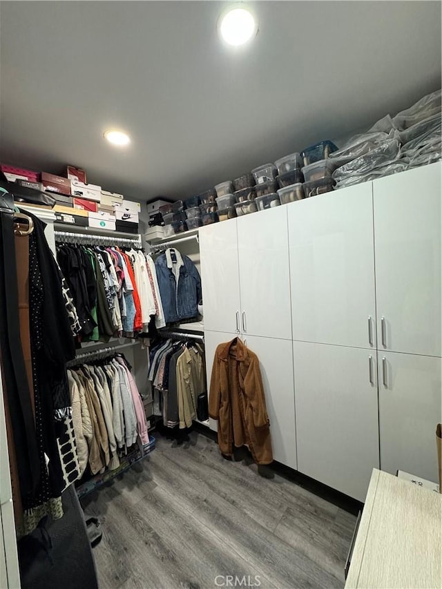 walk in closet featuring wood finished floors