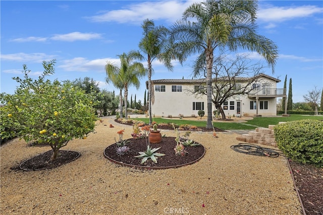 rear view of property with stucco siding