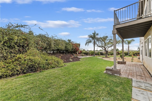 view of yard featuring a patio