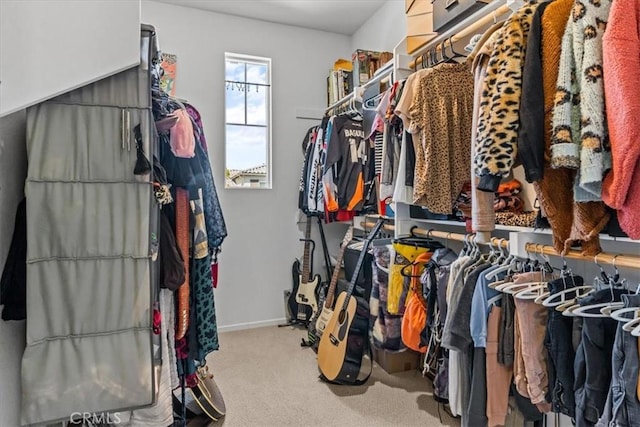 walk in closet with carpet floors