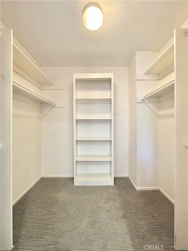 walk in closet with carpet