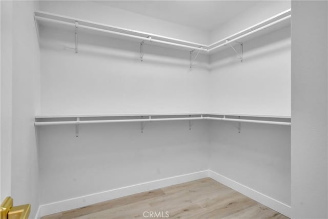 spacious closet with wood finished floors