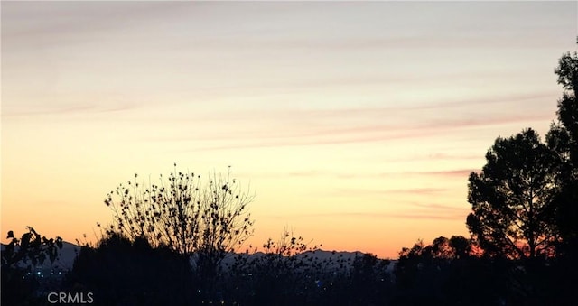 view of nature at dusk