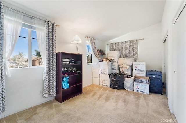 interior space with vaulted ceiling and a closet