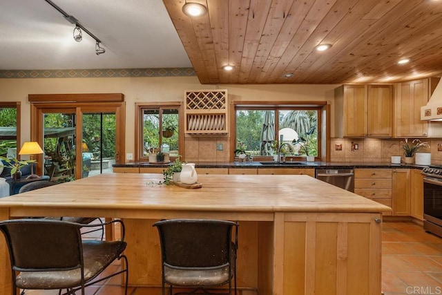 kitchen with tasteful backsplash, butcher block counters, stainless steel appliances, and a sink