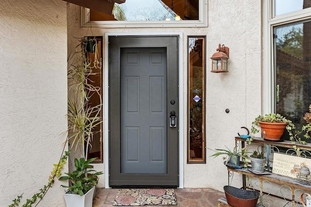 doorway to property featuring stucco siding