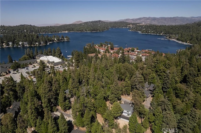 drone / aerial view with a forest view and a water and mountain view