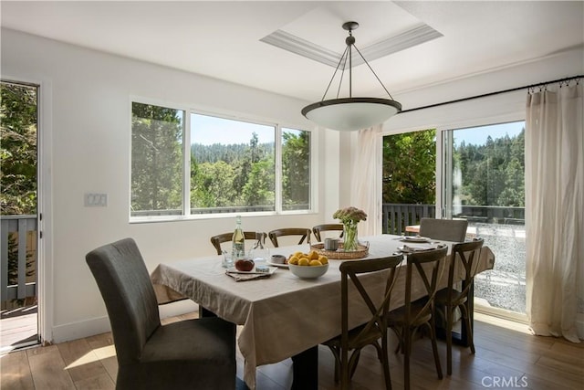 dining area with plenty of natural light, a tray ceiling, wood-type flooring, and baseboards