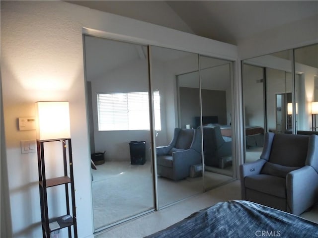 bedroom featuring vaulted ceiling