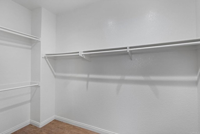 walk in closet with wood finished floors