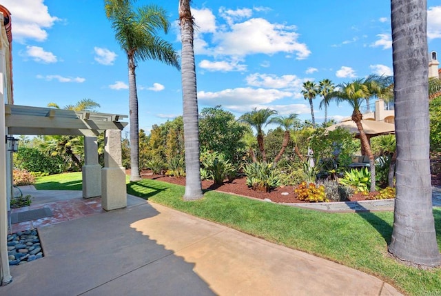 view of patio / terrace with a pergola