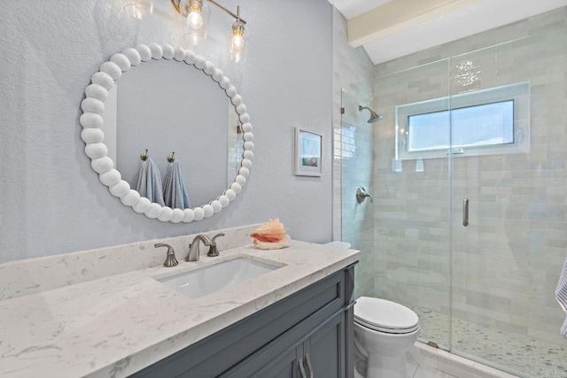 bathroom with a shower stall, toilet, and vanity