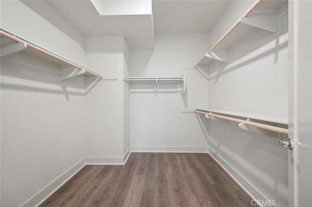 walk in closet featuring wood finished floors