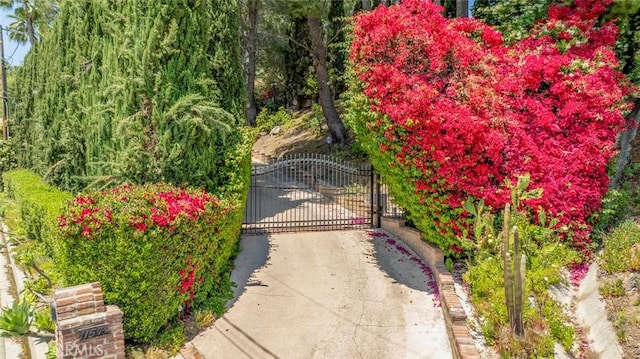 view of gate