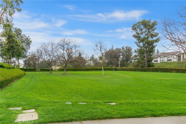 view of property's community with a yard