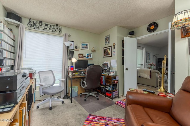 home office with a textured ceiling