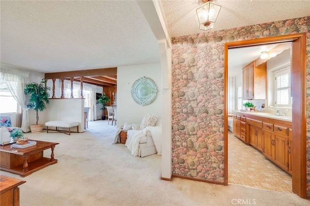 interior space featuring light carpet and a textured ceiling