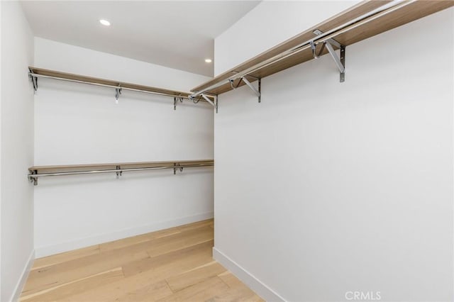 spacious closet featuring light wood finished floors