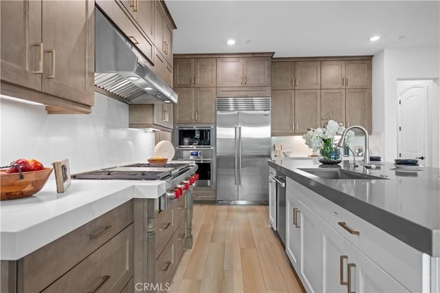 kitchen with built in appliances, recessed lighting, under cabinet range hood, a sink, and light wood-style floors