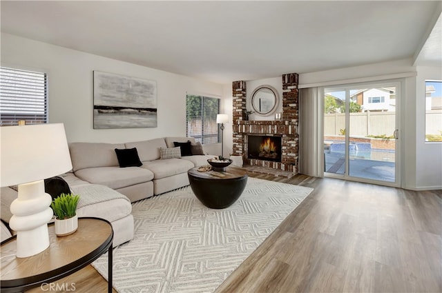 living area featuring wood finished floors and a fireplace