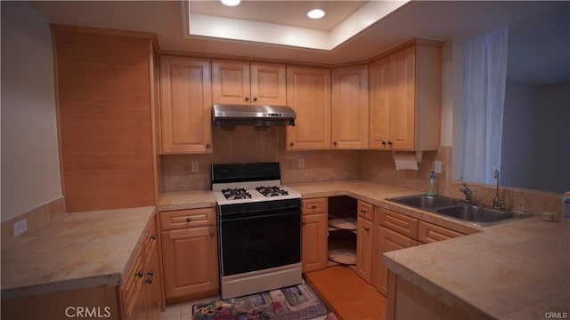 kitchen with a sink, under cabinet range hood, a peninsula, and gas range