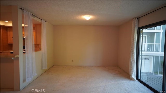 spare room featuring a textured ceiling and carpet flooring