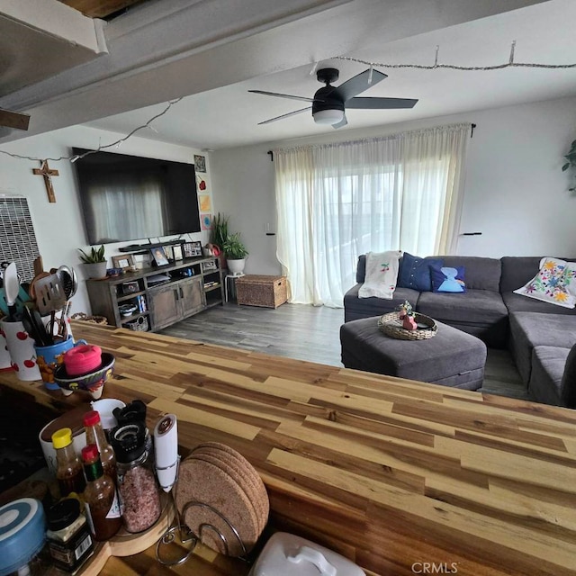 living room featuring ceiling fan and wood finished floors