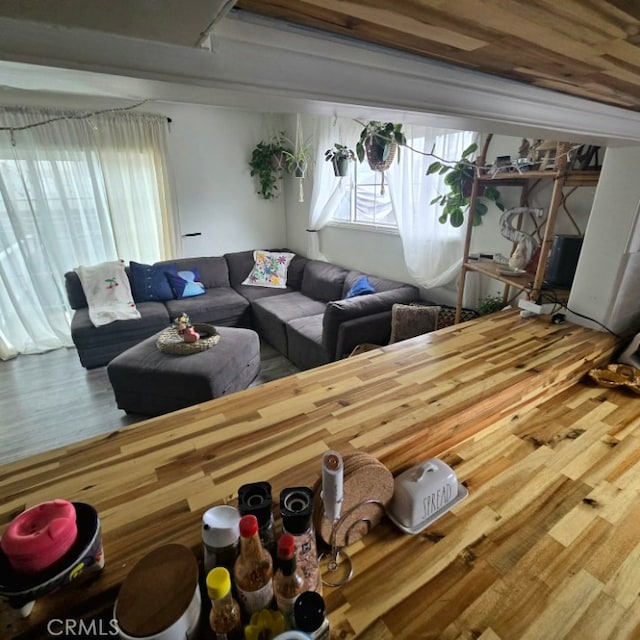 living room featuring wood finished floors