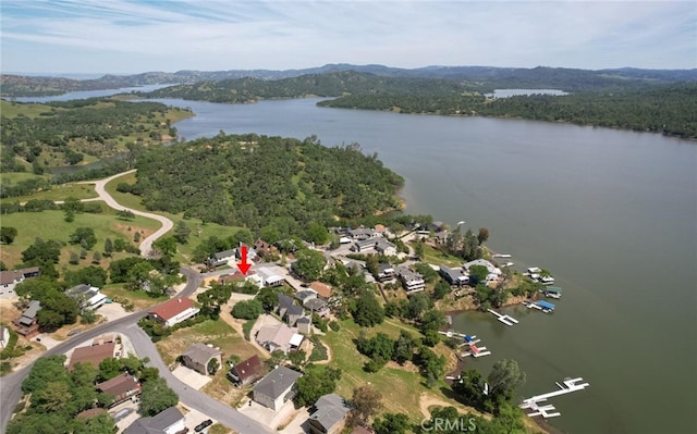 drone / aerial view with a water view and a forest view