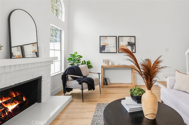 living area featuring a fireplace and wood finished floors