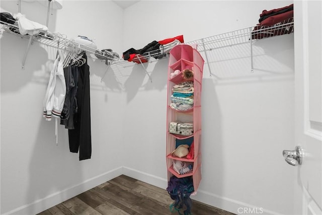 spacious closet with wood finished floors