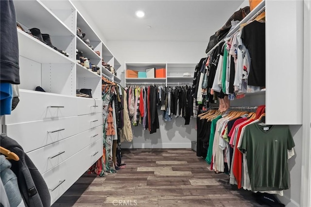 walk in closet featuring wood finished floors