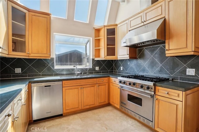 kitchen with under cabinet range hood, dark countertops, a sink, decorative backsplash, and appliances with stainless steel finishes